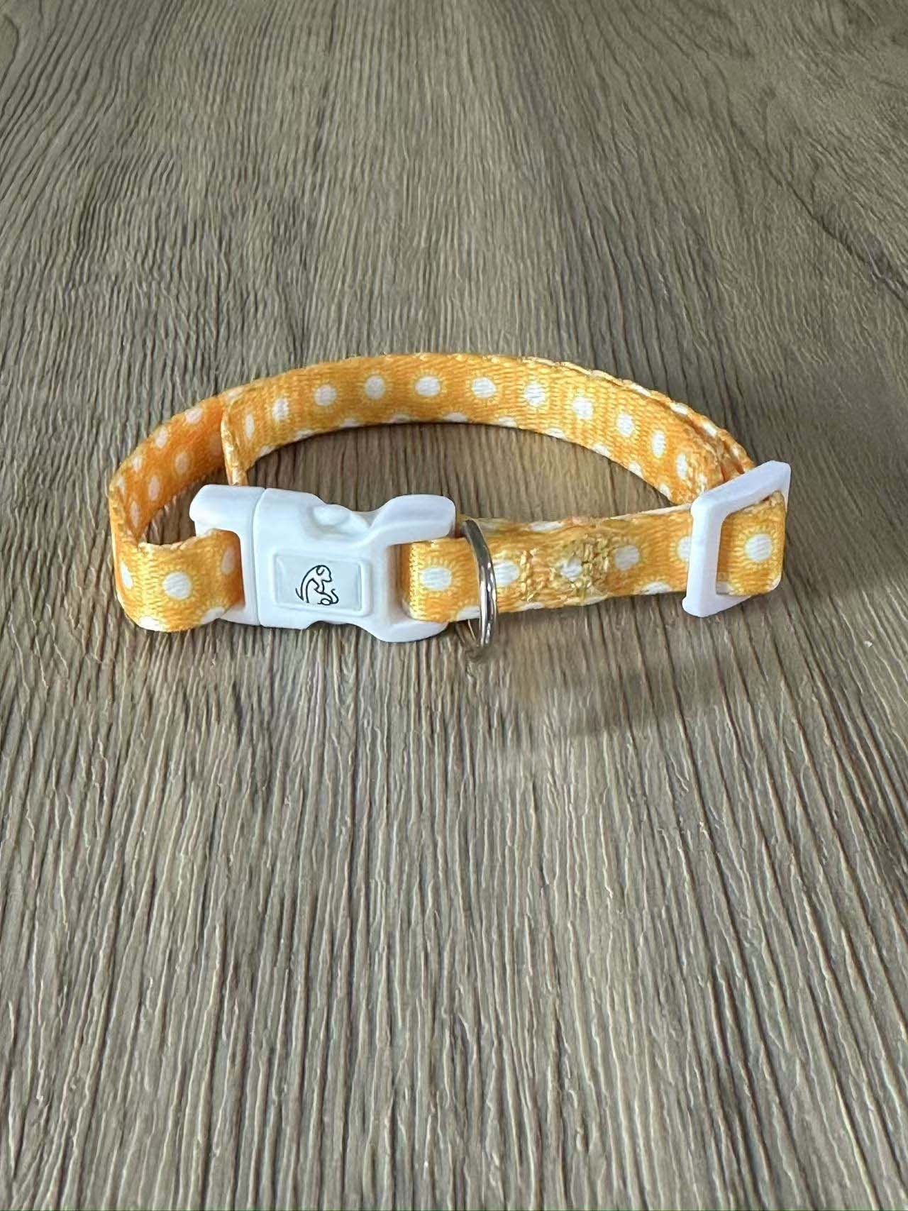 suns out dog collar