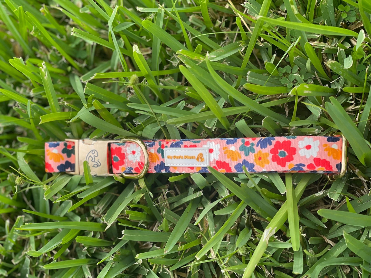 Large Floral dog collar