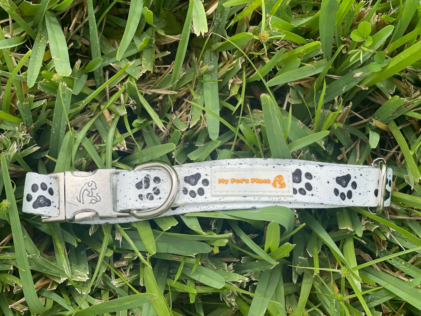 Small Dog Paw Print Cartoon Collar