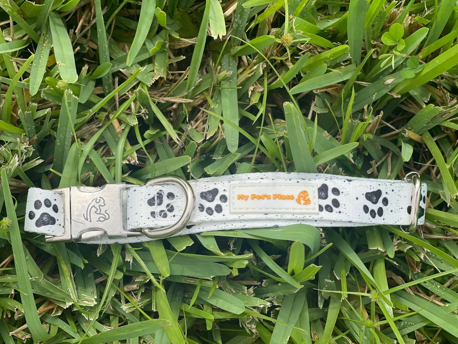 Collars & Bandanas