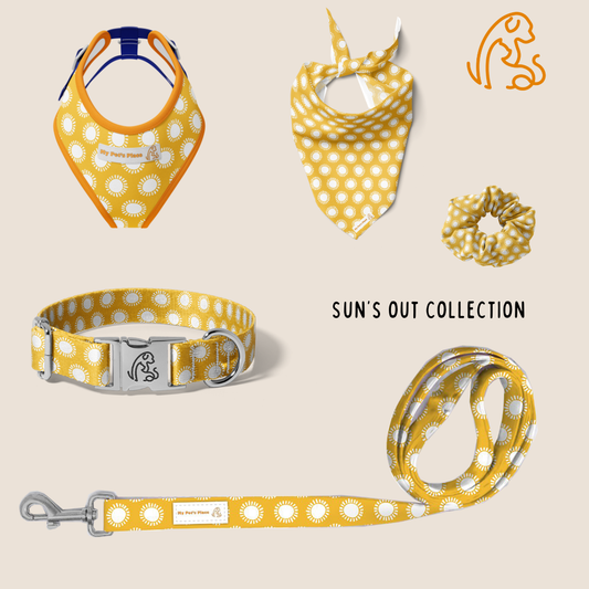 Sun's Out Collection Bundle