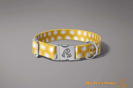 Sun's Out Dog Collar